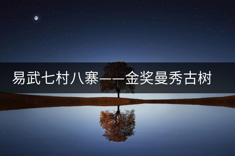 易武七村八寨——金獎曼秀古樹茶 易武七村八寨——金獎曼秀古樹茶