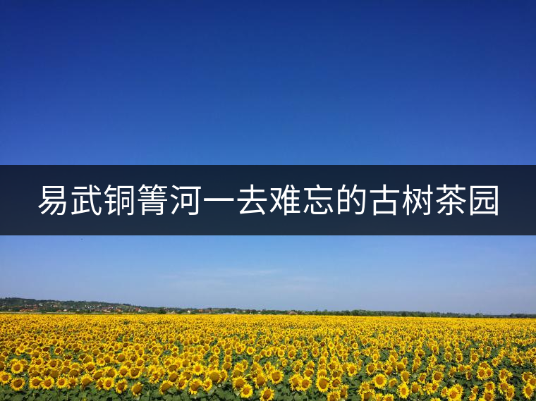 易武銅箐河一去難忘的古樹(shù)茶園 易武銅箐河一去難忘的古樹(shù)茶園