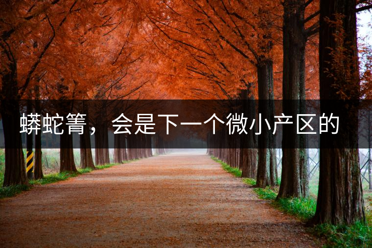 蟒蛇箐，會(huì)是下一個(gè)微小產(chǎn)區(qū)的熱門(mén)山頭嗎？