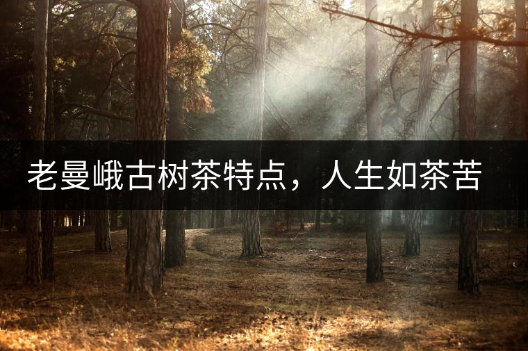老曼峨古樹(shù)茶特點(diǎn)，人生如茶苦盡甘來(lái)
