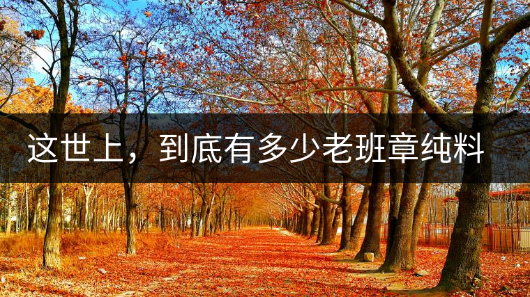 這世上，到底有多少老班章純料古樹(shù)茶