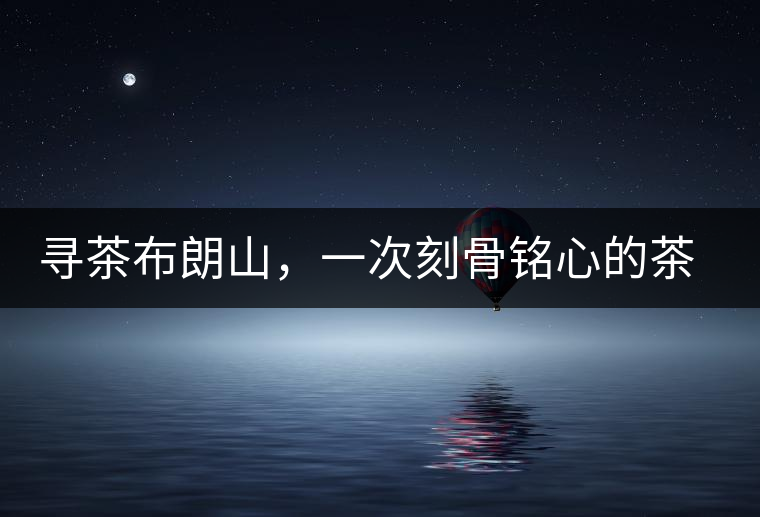 尋茶布朗山，一次刻骨銘心的茶山行