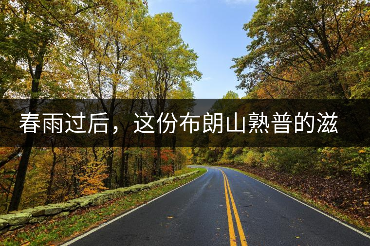 春雨過(guò)后，這份布朗山熟普的滋味正當(dāng)時(shí)