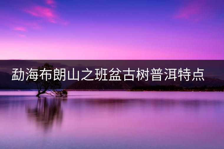 勐海布朗山之班盆古樹普洱特點(diǎn)介紹