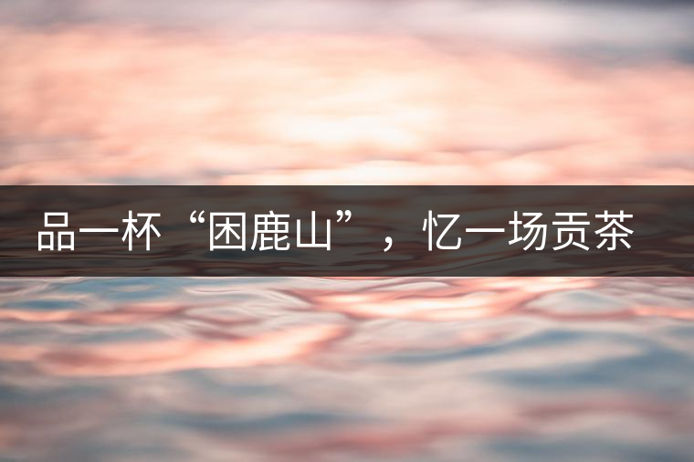 品一杯“困鹿山”，憶一場貢茶情