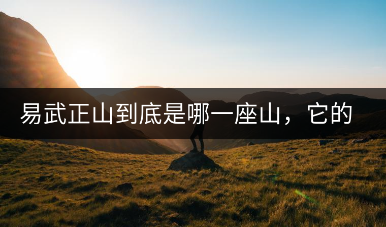 易武正山到底是哪一座山，它的含義你了解嗎？