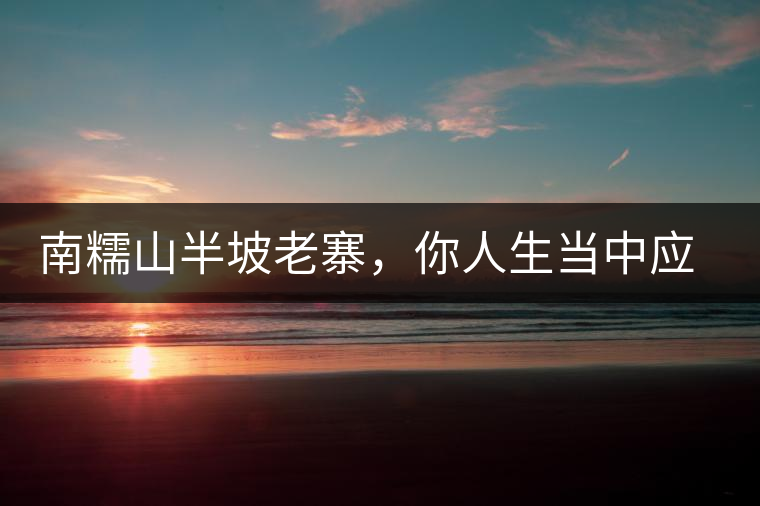 南糯山半坡老寨，你人生當中應(yīng)該入手的第一片勐海味古樹純料普洱茶