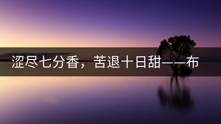 澀盡七分香，苦退十日甜——布朗山千年古寨曼新龍