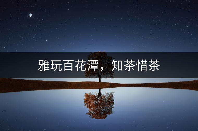 雅玩百花潭，知茶惜茶