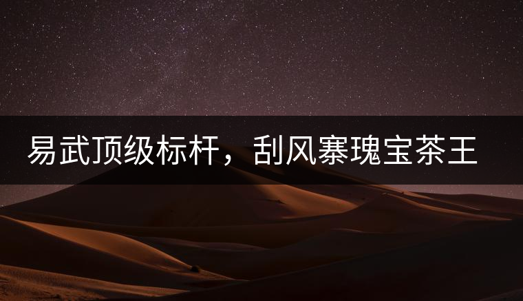 易武頂級標桿，刮風寨瑰寶茶王樹古樹茶