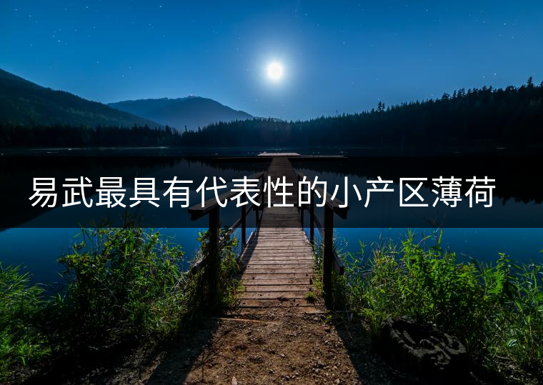 易武最具有代表性的小產(chǎn)區(qū)薄荷塘，一滴都不舍得浪費