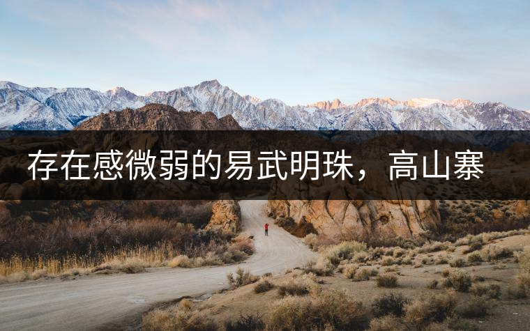 存在感微弱的易武明珠，高山寨古樹茶介紹