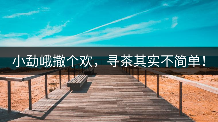 小勐峨撒個歡，尋茶其實不簡單！