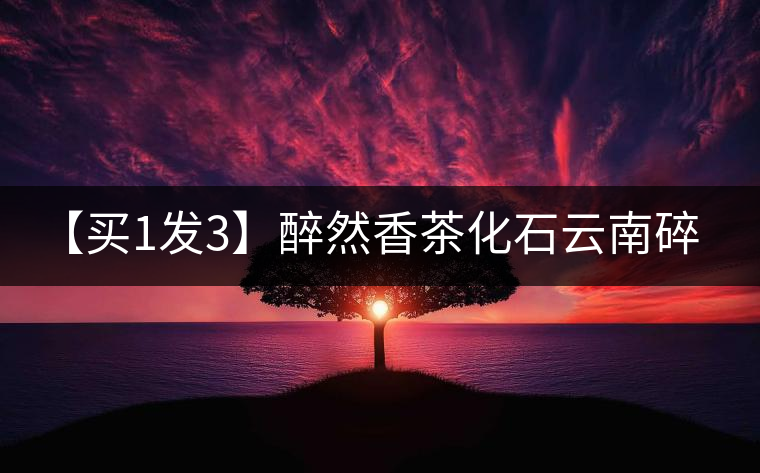 【買(mǎi)1發(fā)3】醉然香茶化石云南碎銀子普洱茶古樹(shù)茶糯米香茶葉共375g