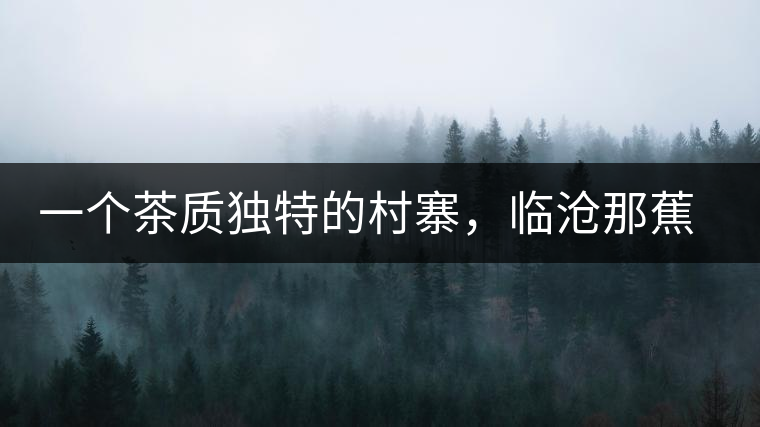 一個(gè)茶質(zhì)獨(dú)特的村寨，臨滄那蕉古樹(shù)茶介紹