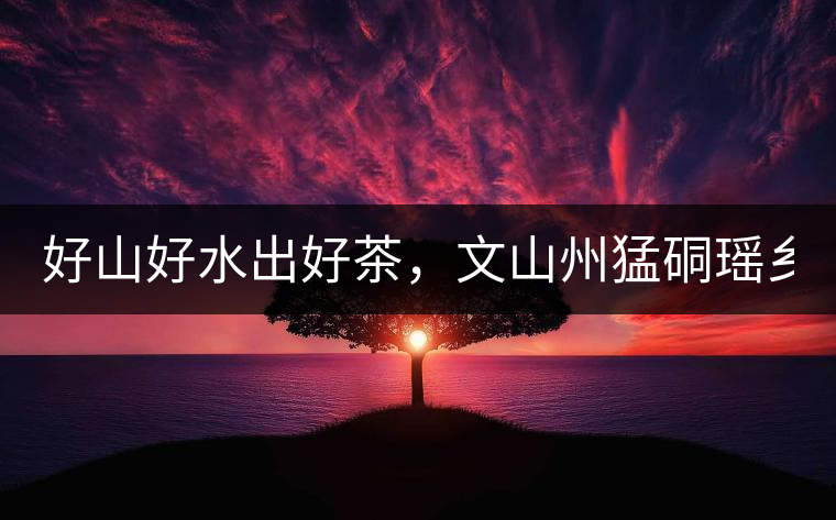 好山好水出好茶，文山州猛硐瑤鄉(xiāng)茶！