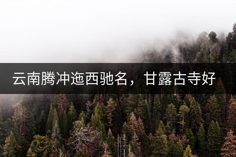 云南騰沖迤西馳名，甘露古寺好茶