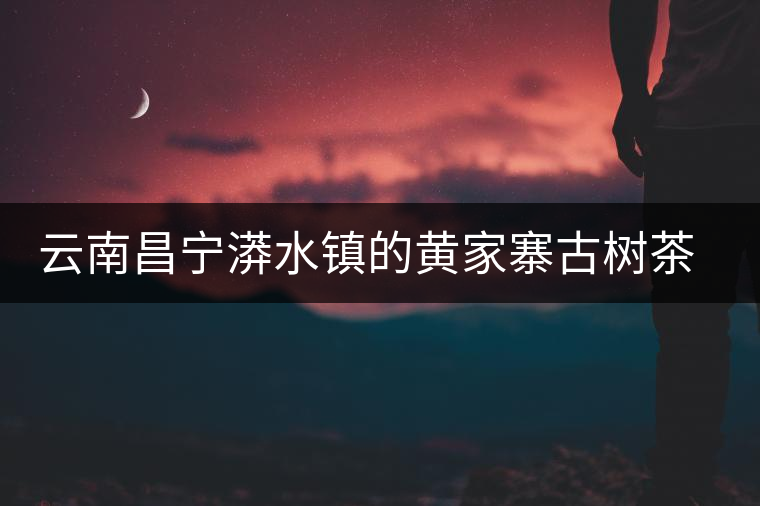云南昌寧漭水鎮(zhèn)的黃家寨古樹茶特點(diǎn)介紹 云南昌寧漭水鎮(zhèn)的黃家寨古樹茶特點(diǎn)介紹