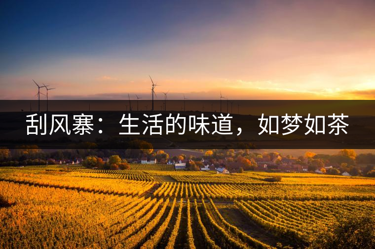 刮風(fēng)寨：生活的味道，如夢(mèng)如茶