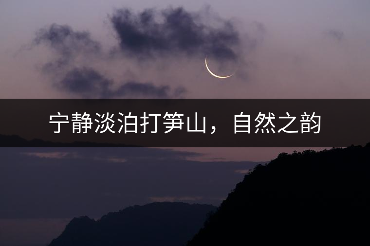 寧靜淡泊打筍山，自然之韻