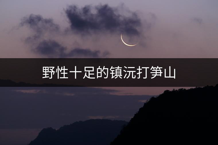 野性十足的鎮(zhèn)沅打筍山