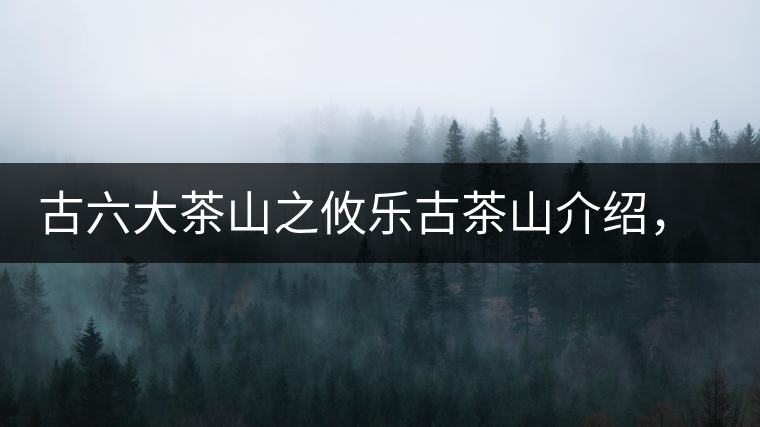 古六大茶山之攸樂古茶山介紹，攸樂古樹茶口感特點