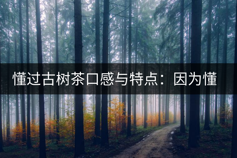 懂過(guò)古樹(shù)茶口感與特點(diǎn)：因?yàn)槎?，所以舍得用余生?lái)珍惜！