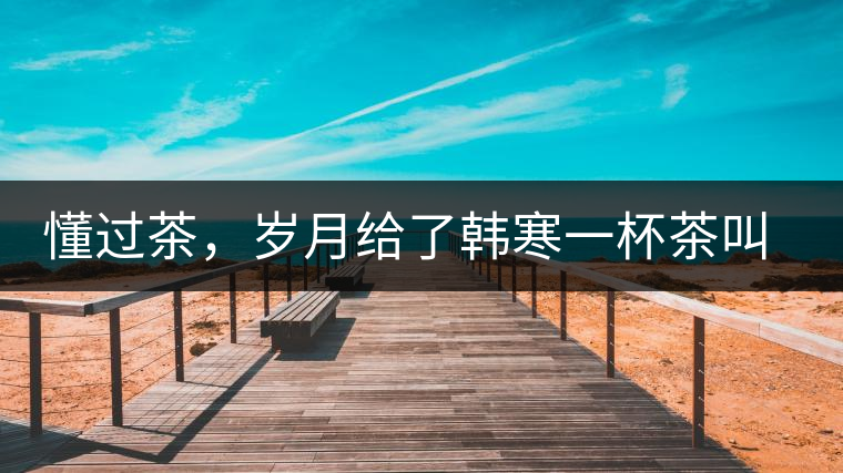 懂過茶，歲月給了韓寒一杯茶叫懂過