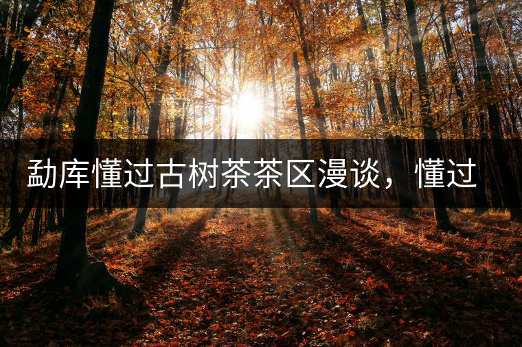 勐庫(kù)懂過古樹茶茶區(qū)漫談，懂過古樹茶的特點(diǎn)