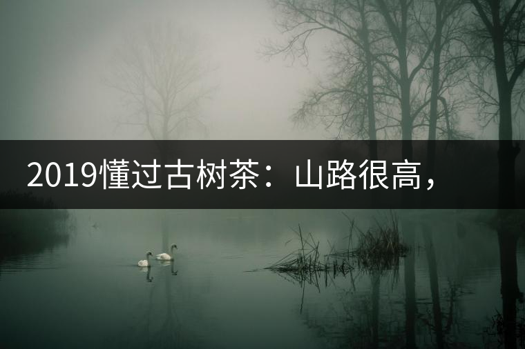 2019懂過古樹茶：山路很高，可仍然有執(zhí)著走向深山的人