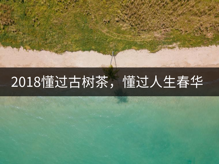 2018懂過古樹茶，懂過人生春華秋實！