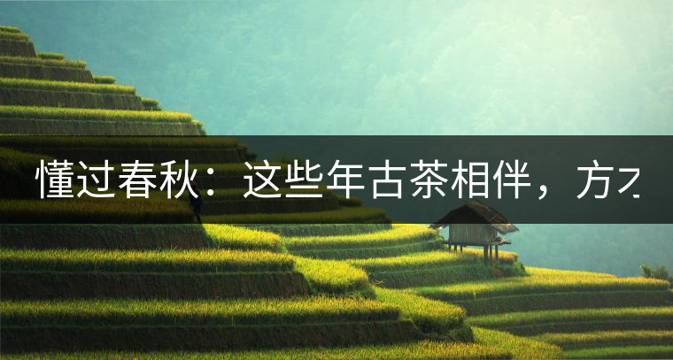 懂過(guò)春秋：這些年古茶相伴，方才懂過(guò)！