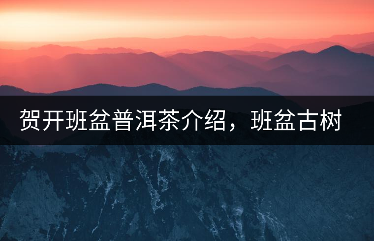 賀開班盆普洱茶介紹，班盆古樹茶口感特點