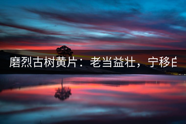 磨烈古樹(shù)黃片：老當(dāng)益壯，寧移白首之心！