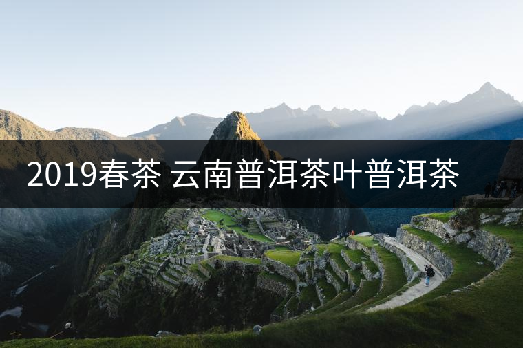 2019春茶 云南普洱茶葉普洱茶生茶餅茶 百花箐潭高桿古樹(shù)純料生茶 2019春茶 云南普洱茶葉普洱茶生茶餅茶 百花箐潭高桿古樹(shù)純料生茶