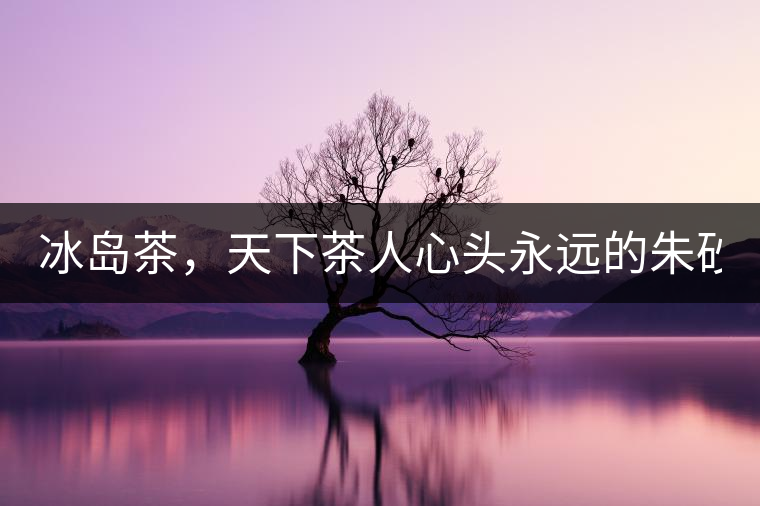 冰島茶，天下茶人心頭永遠(yuǎn)的朱砂痣！