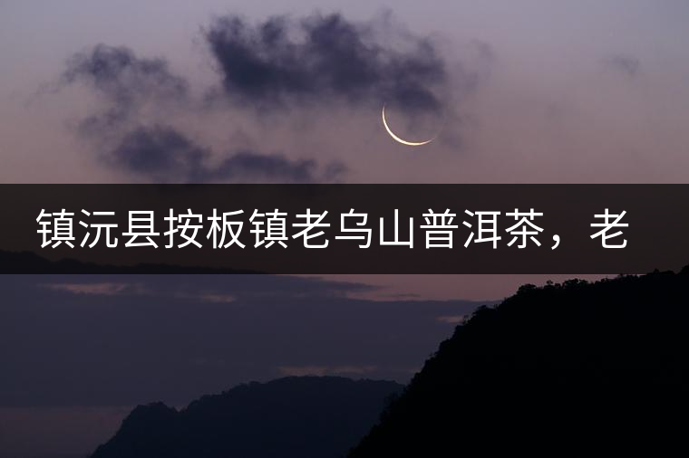 鎮(zhèn)沅縣按板鎮(zhèn)老烏山普洱茶，老烏山古樹茶口感特點(diǎn)