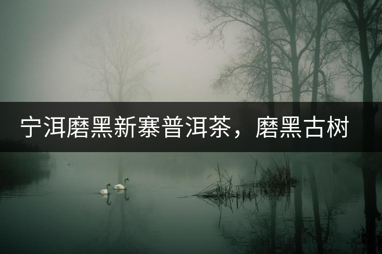 寧洱磨黑新寨普洱茶，磨黑古樹茶口感特點