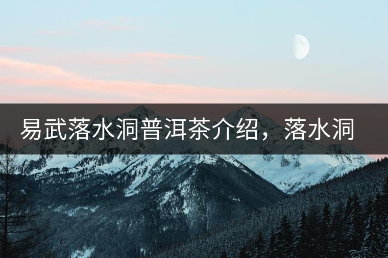 易武落水洞普洱茶介紹，落水洞古樹茶口感特點(diǎn)