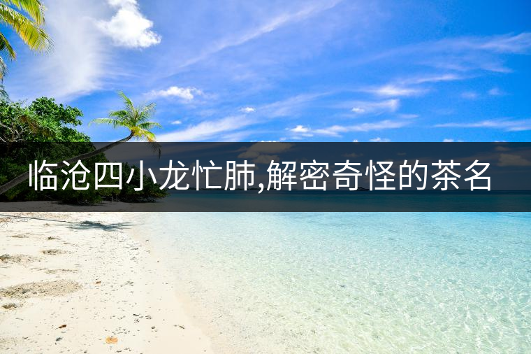 臨滄四小龍忙肺,解密奇怪的茶名“忙肺” 臨滄四小龍忙肺,解密奇怪的茶名“忙肺”