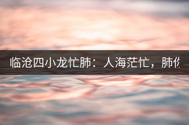 臨滄四小龍忙肺：人海茫忙，肺你莫屬！