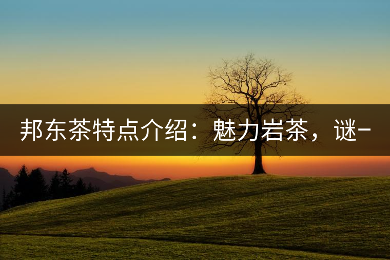 邦東茶特點介紹：魅力巖茶，謎一樣的邦東！