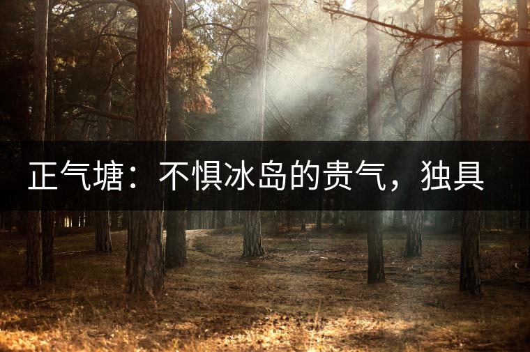 正氣塘：不懼冰島的貴氣，獨(dú)具冰島之魅力