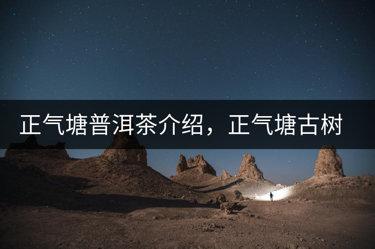 正氣塘普洱茶介紹，正氣塘古樹茶口感特點