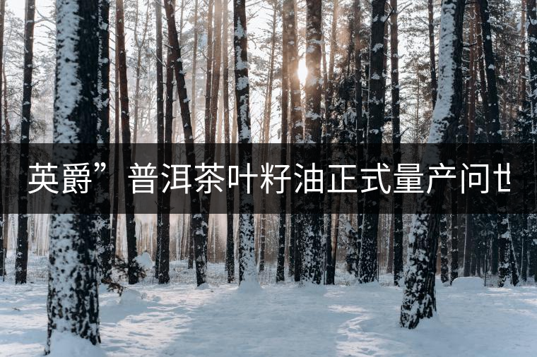 英爵”普洱茶葉籽油正式量產(chǎn)問(wèn)世。