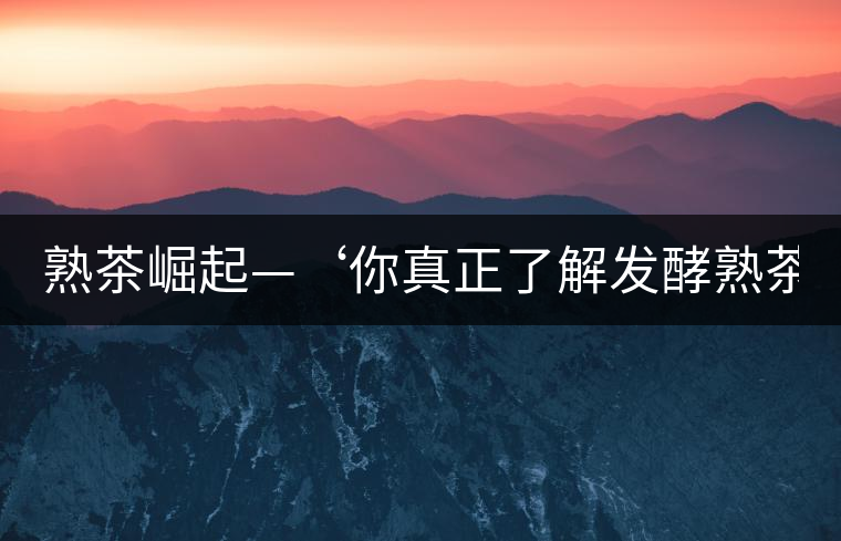 熟茶崛起—‘你真正了解發(fā)酵熟茶？’