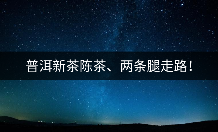 普洱新茶陳茶、兩條腿走路！