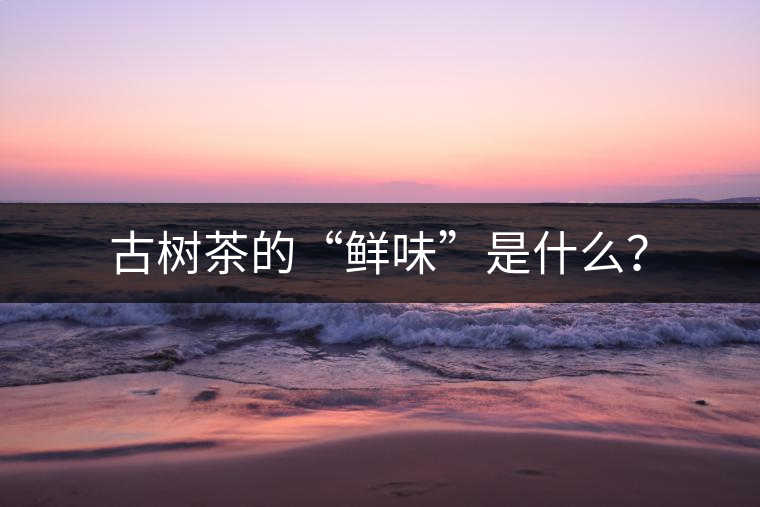 古樹茶的“鮮味”是什么？