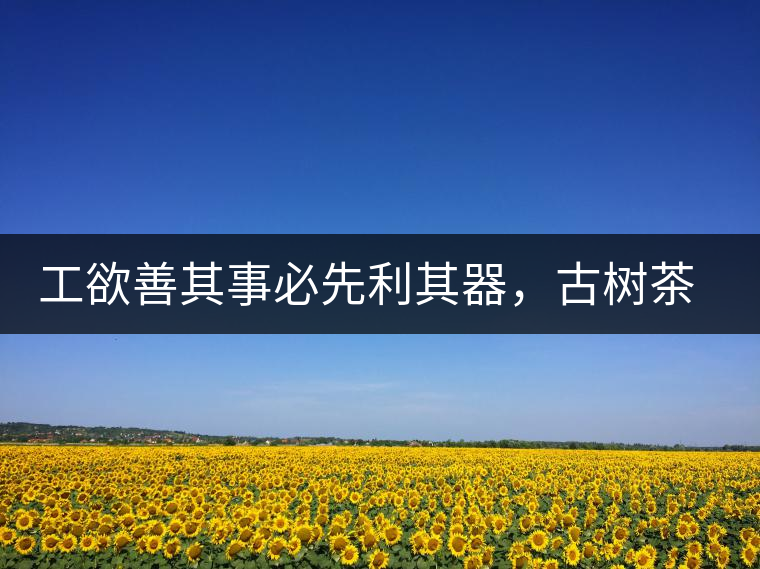 工欲善其事必先利其器，古樹茶用什么茶器最好？