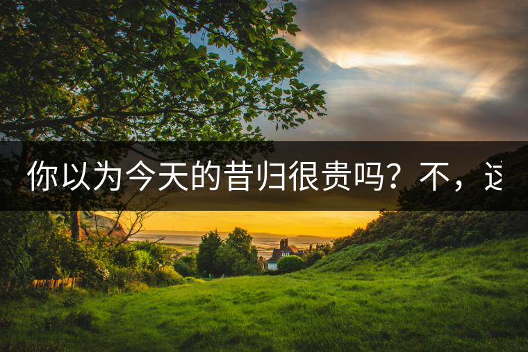你以為今天的昔歸很貴嗎？不，這只是開始！